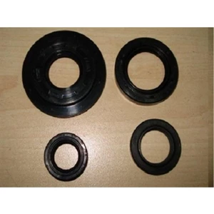 Yağ Keçe Seti Honda Spacy110 Rks Spontını 110 - Actıva 100 (Sol Krank Keçe Hariç Hero Pleasure)