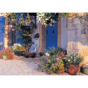 Puzzle 500 Parça Willy'Nin Evi Puzzle