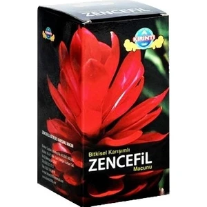 zencefilli macun 410 gr