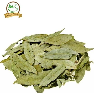 Aktar Diyarı Sinemaki 1 Kg