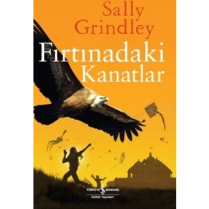 Fırtınadaki Kanatlar