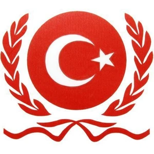 Ozy Bordörlü Türk Bayrağı Oto Sticker (9Cm * 10Cm)