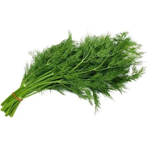 Dereotu Toros Meltemi Tohumu Paket 10 Gr.