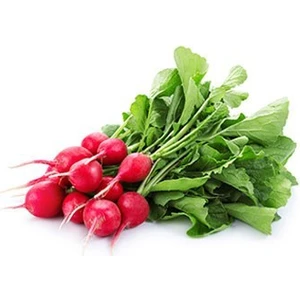 Turp Cherry Bella (Fındık Turp) Tohumu Paket 10 Gr.