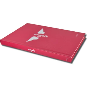 Angels  Defter/ Exist