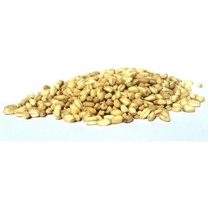 Aşurelik Buğday 500 G