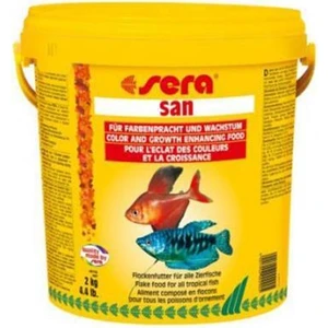 San Renklendiri Pul Yem 250Gr