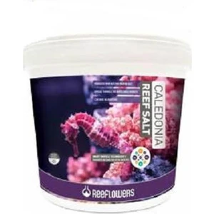 Reeflowers Caledonia Reef Salt Tuz 22.5Kg