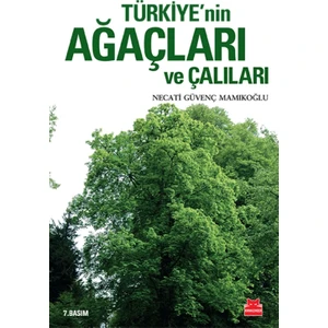 Türkiye’Nin Ağaçları Ve Çalıları