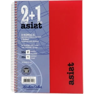 Keskin Color Kesin Color 2+1 Asist 3 Konulu Seperatörlü Defter
