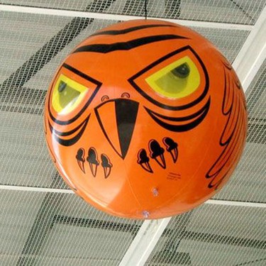 Monarch murderer Installation Bird-Xterror Eyes Kuş Kovucu Balon Bird-X Fiyatı