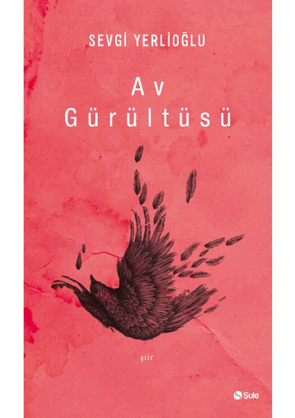 Av Gürültüsü
