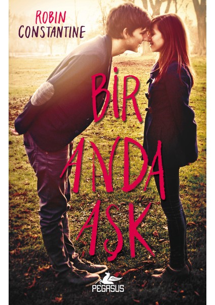 Bir Anda Aşk - Robin Constantine