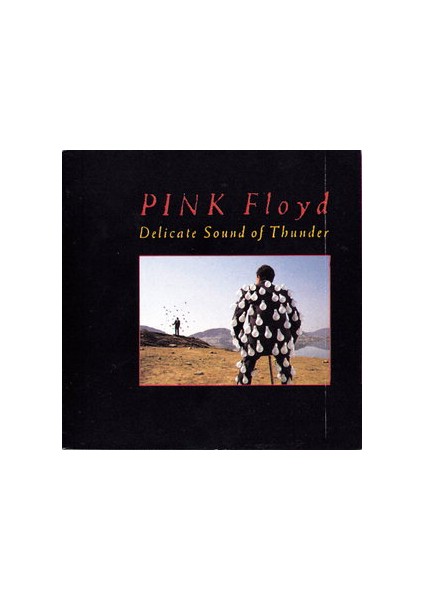 Pınk Floyd - Delıcate Sound Of Thunder