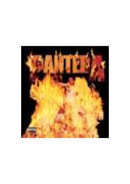 Pantera - Reınventıng The Steel