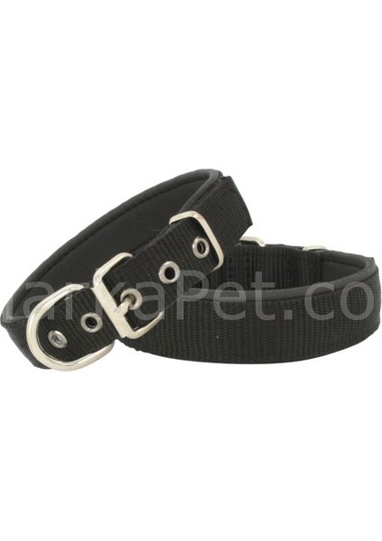 Comfort Köpek Boyun Tasma 3*65 Cm Large