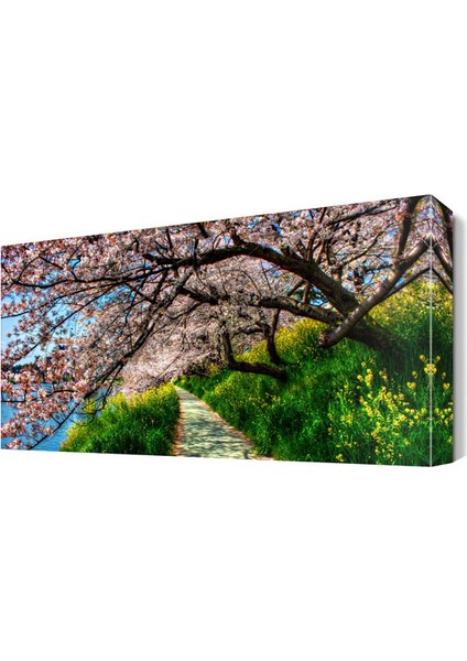 İlkbahar Ağaç Manzarası Canvas Tablo 75x50 cm