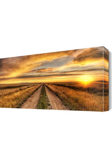 Tarla Yolu Manzarası Canvas Tablo 45x30 cm