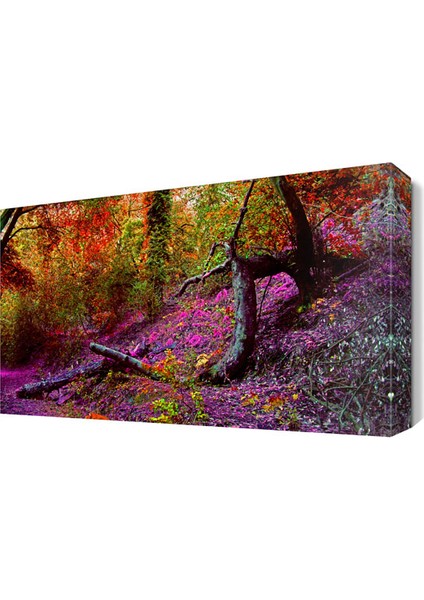 Orman Manzarası Canvas Tablo 45x30 cm