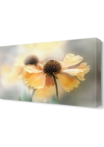 Sarı Papatya Tablosu 45x30 cm