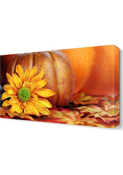 Kabak Çiçeği Tablosu 45x30 cm