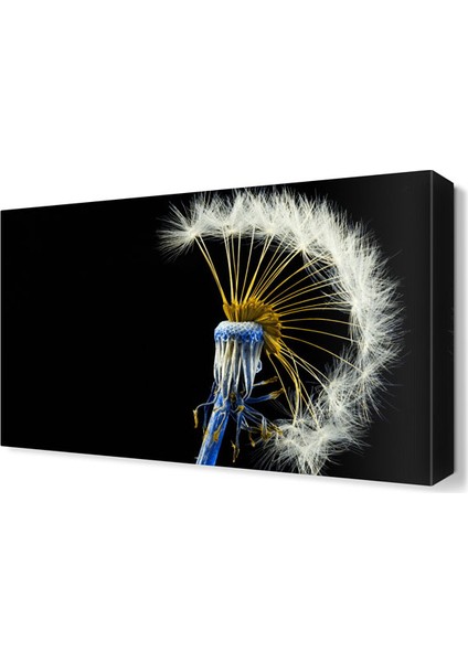 Karahindiba2 Tablosu 45x30 cm