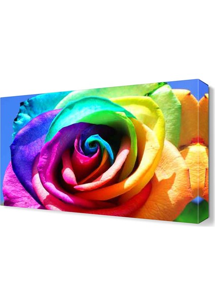 Gökkuşağı Renginde Gül Tablosu 45x30 cm