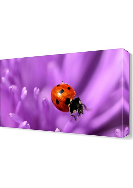 Uğur Böceği ve Mor Çiçek Tablosu 45x30 cm