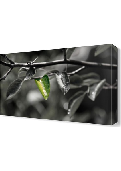 Son Yaprak Tablosu 60x40 cm