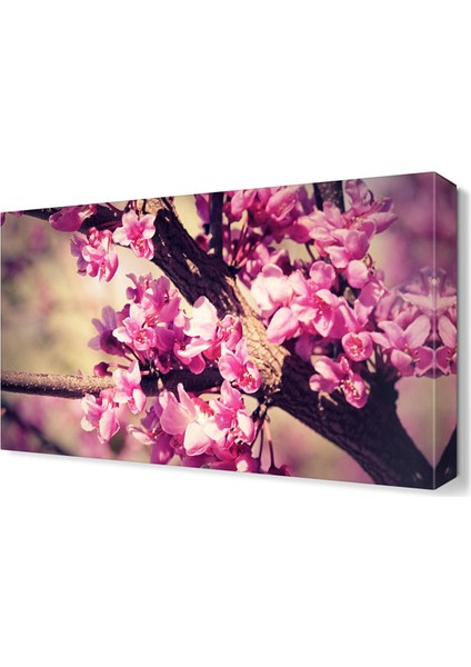 Ağaç Çiçeği Tablosu 90x60 cm