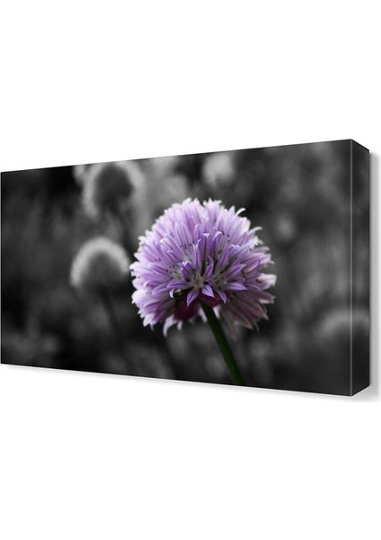 Mor Çiçek9 Tablosu 45x30 cm