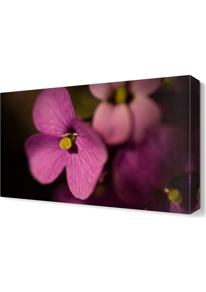 Pembe Çiçek2 Tablosu 45x30 cm