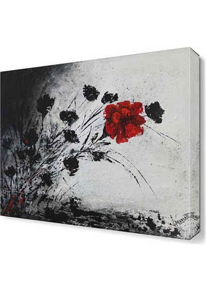 Siyah Beyaz Kasımpatı Tablosu 30x30 cm