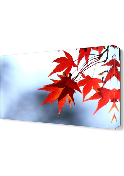 Kırmızı Yapraklar Tablosu 45x30 cm