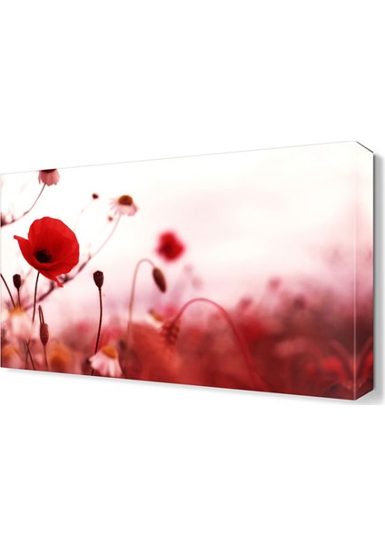Laleler ve Papatyalar Tablosu 45x30 cm