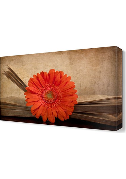 Dekoratif Kasımpatı Tablosu 45x30 cm