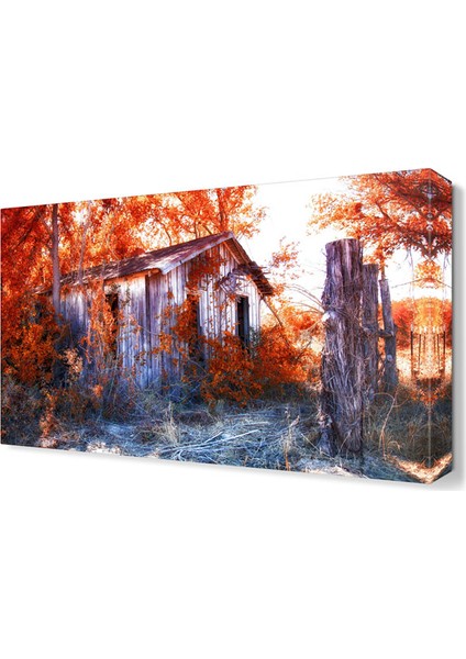 Eski Ev Tablosu 45x30 cm