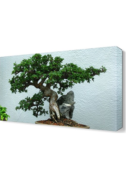 Yeşil Ağaç Tablosu 45x30 cm