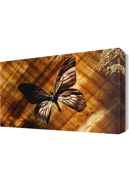 Kahve Rengi Kelebek Canvas Tablo 45x30 cm