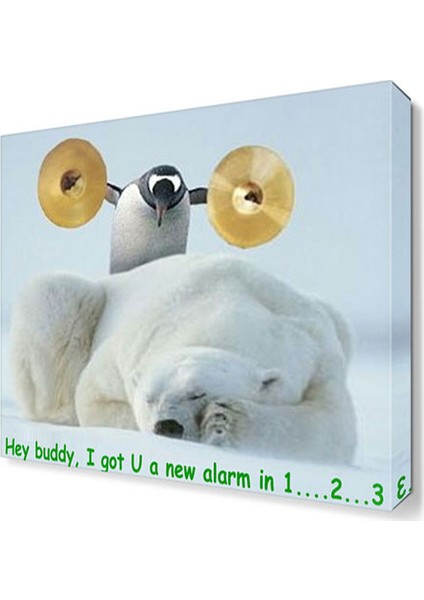 Komik Penguen Tablosu 45x30 cm