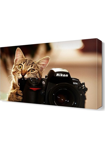 Fotoğraf Mankinasını Isıran Kedi Tablosu 45x30 cm