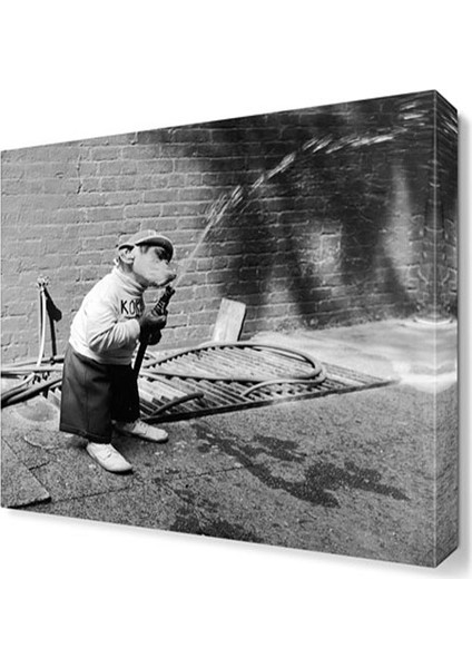 Maymun Tablosu 30x30 cm