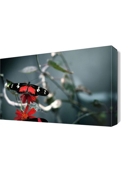 Kırmızılı Kelebek Canvas Tablo 60x40 cm
