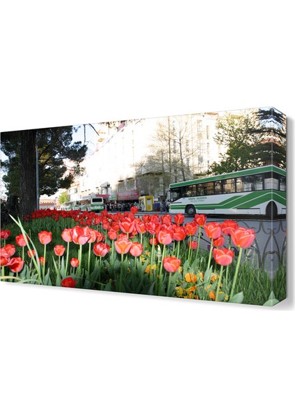 Isparta Tablosu 45x30 cm