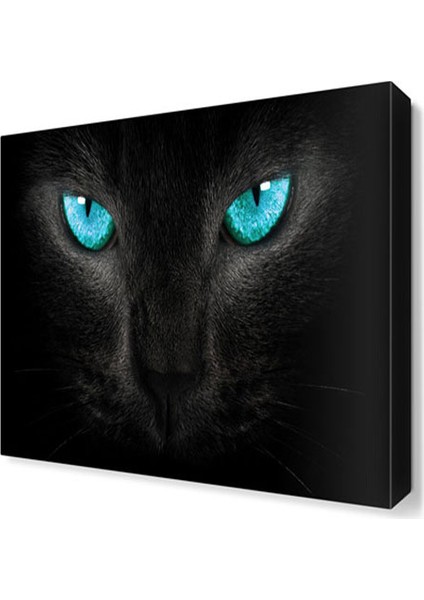 Kedinin Gözleri Tablosu 40x40 cm