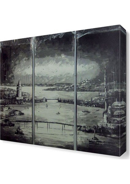 Parmaklıklar Arasında Tablosu 40x40 cm