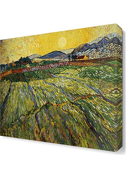Yeşil Tarla Tablosu 40x40 cm