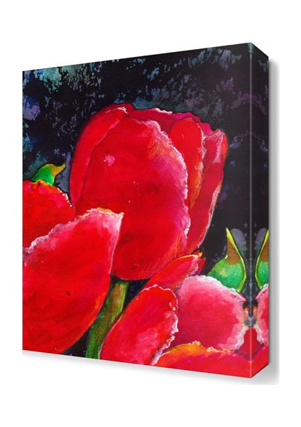 Pembe Gelincikler Tablosu 45x30 cm