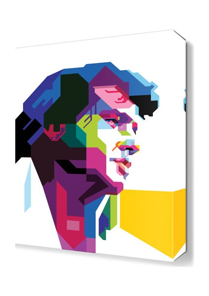 ElvisPresly2 Canvas Tablo 30x30 cm