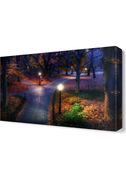 Central Park Tablosu 45x30 cm